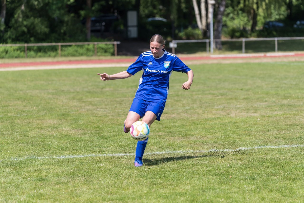 Bild 138 - wBJ VfL Pinneberg - Harksheide : Ergebnis: 2:1